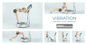 What do the experts think about accelerated vibration training